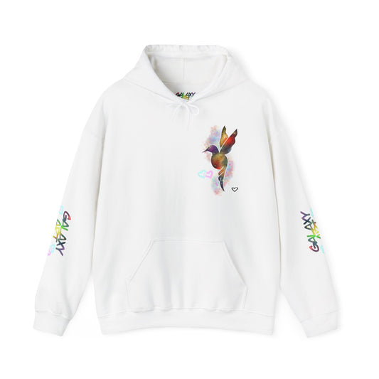 Hoodie v.1 - Bird Galaxy (5)